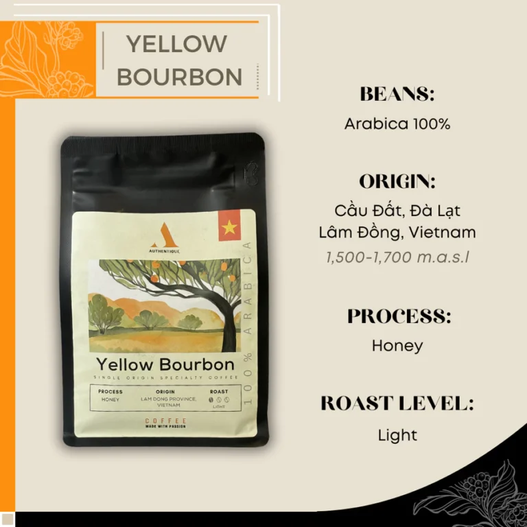 Authentique Speciality Coffee